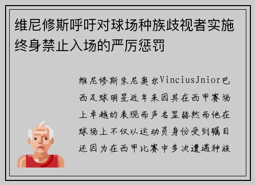 维尼修斯呼吁对球场种族歧视者实施终身禁止入场的严厉惩罚
